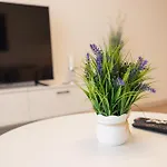 33rd Floor Twin & 7th Floor In Cevahir Sky Complex With Pool, Spa, Fitness And Parking Included In Price Daire *