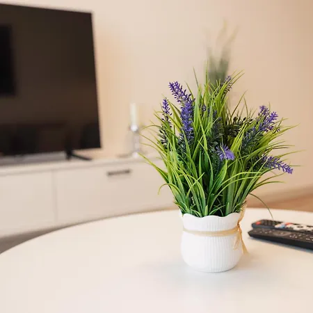 33rd Floor Twin In Cevahir Sky Complex With Pool, Spa, Fitness And Parking Included In Price Apartment *